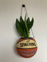 Charger l&#39;image dans la galerie, pot-de-fleurs-ballon-de-basket-vase-basketball-planter-spalding
